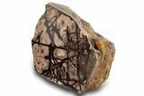 Free-Standing, Polished Outback Jasper - Western Australia #314354-1